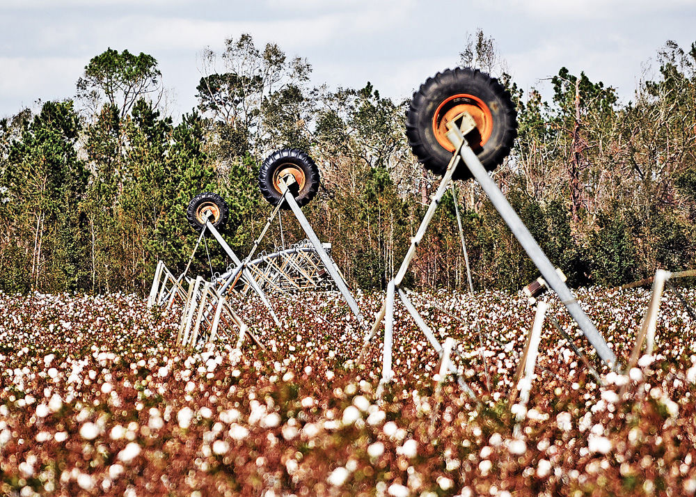 Hurricane Michael aftermath Jackson County